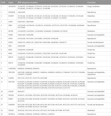 Genome-wide comparative analysis reveals selection signatures for reproduction traits in prolific Suffolk sheep